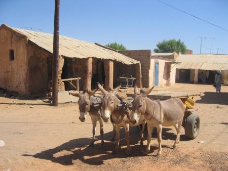 au quartier des sarakhoules